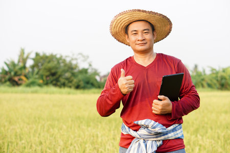 Handsome Asian farmer is at paddy field, holds smart tablet to inspect rice plants ,do research about growth, diseases, insects at paddy field. Concept , Smart farmer.の写真素材