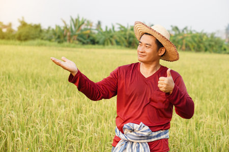 Asian man farmer wears hat, red shirt, thumbs up, make hand gesture to present his paddy field. Confident. Concept, agriculture occupation. Thai farmer. Copy space for adding textの写真素材