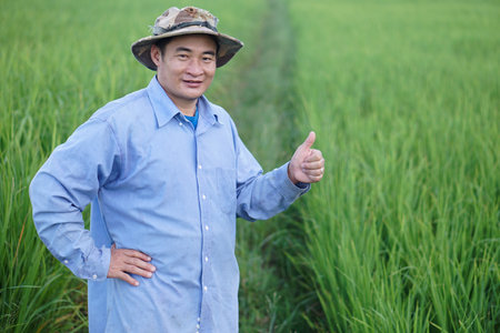 Asian man farmer is at paddy field, wears hat, blue shirt, put hand on waist and thumbs up. Concept, Agriculture occupatiom. Thai farmer grow organice rice plants.の写真素材