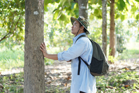Asian man botanist is inspect trunk of tree in forest. Concept , Survey and research botanical plants. Forest conservation. Environment field research.の写真素材