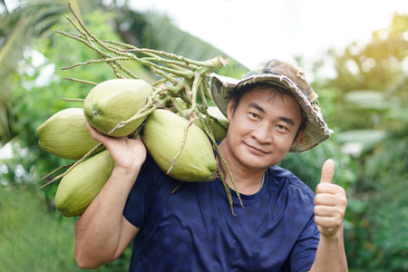 Asian man carry organic coconut fruits on his shoulder, harvested from garden, thumbs up. Concept , Agriculture crop in Thailand.Thai farmers grow coconuts  to sell. Summer fruits.の写真素材