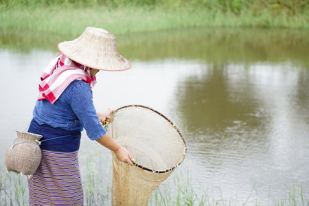 Asian woman farmer wears hat and tradiontal costume holds traditional equipment for catching fish for food. Concept , earn living from nature. Local lifestyle in Thailand.の写真素材
