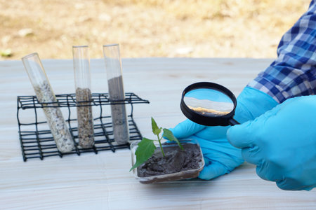 Close up researcher hands hold magnifying glass to inspect  sample soil. Concept, agriculture survey...