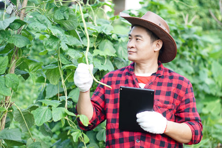 Handsome Asian man gardener holds smart tablet to inspect growth and plants diseases in garden....