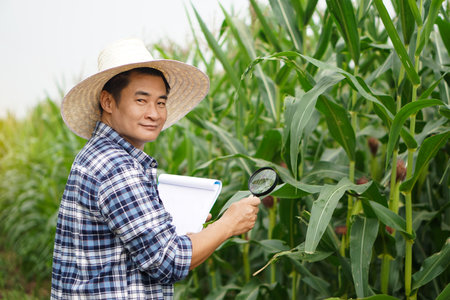 Handsome Asian man researcher holds magnifying glass and paper clipboard to explore or inspect growth and diseases of plants at maize garden. Concept. Agriculture occupation.の写真素材