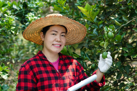 Happy Asian woman gardener is at garden. Checking quality and diseases of organic lemon fruits, holds pen, notebook paper to record plants information. Concept ,Take care of crops.の写真素材
