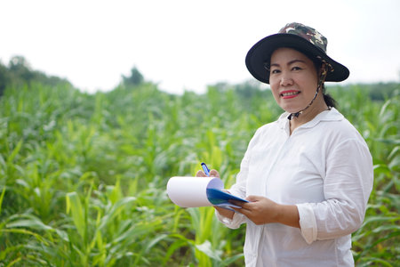 Asian woman farmer wears hat, white shirt, holds paper clipboard to record and inspect growth and diseases of plants at maize garden.  Concept. Agriculture occupation, surveyの写真素材