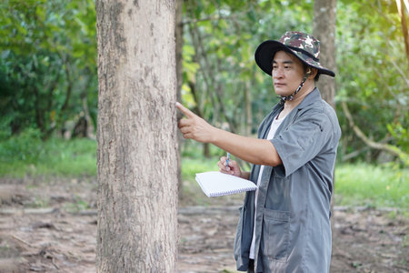 Asian man botanist is inspecting trunk of tree in forest to analysis and research about growth of...