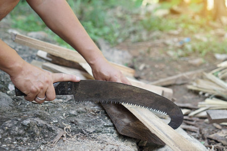 Hands of a man sawing a piece of wood with a hand saw.の写真素材