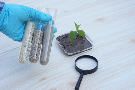 Scientist hand holding a test tube with plant on wooden background.