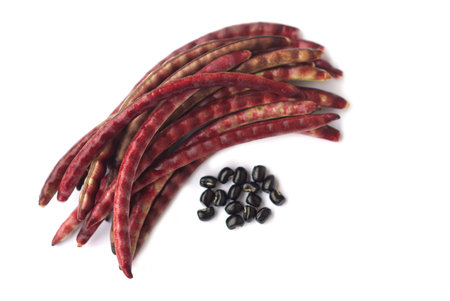 borlotti beans on a white background, dried legumes.