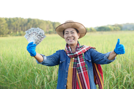 Happy Asian woman farmer is at paddy field, wears hat, blue shirt, Thai loincloth scarf, holds Thai  banknotes money. Thumbs up. Concept, agriculture occupation.の写真素材