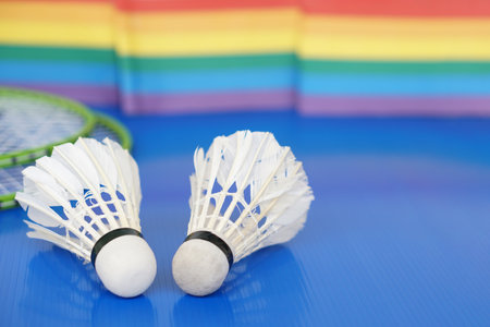 Badminton shuttlecock, sport equipments. Concept, sport, exercise, recreation activity for good health. Popular sport for all genders and LGBTQ+ worldwide.の写真素材
