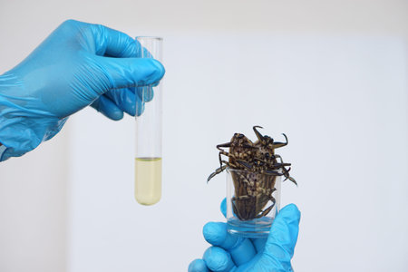 Close up scientist holds giant water bug or pimp to do science experiment about smell extract to mix...
