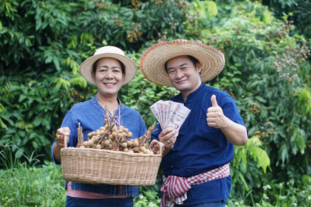 Happy Asian gardeners, holds Thai banknote money from selling fruits in garden. Concept, Agricultural crops, Economic and export fruits. Gardener sells longans. Income from crops.の写真素材