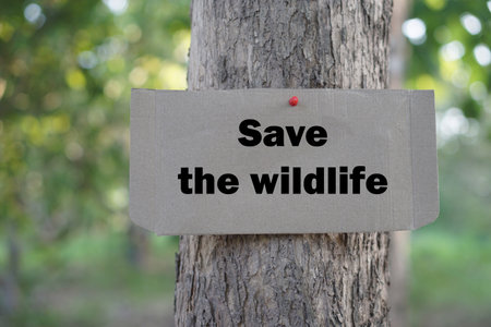 Paper sign with text Save the wildlife. Concept, wildlife, forest conservation for the earth. Environment protection. Campaign and motivate to care and conserve ecology system.の写真素材