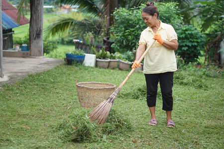 Asian woman hold stick broom to sweep grass after mowing. Concept cleaning yard at home or...