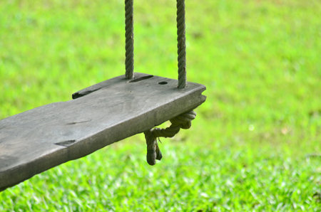 swing hanging in garden の写真素材