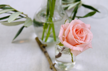 Orange roses in a bottle placed on a table.の写真素材