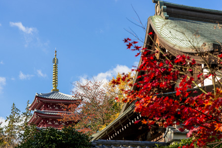 Five-story pagoda and autumn landscapesのeditorial素材