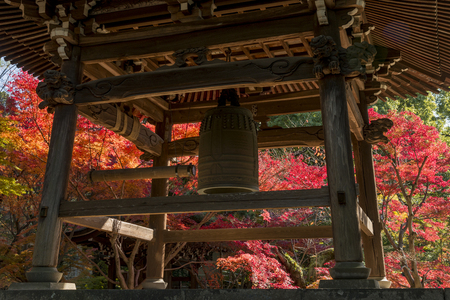 Japan autumn landscapeのeditorial素材