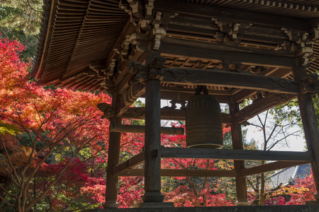 Japan autumn landscapeのeditorial素材