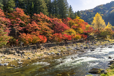 Beautiful autumn colors of Korankei Riverの写真素材