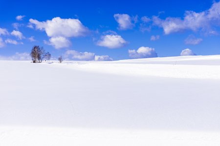 In Hokkaido in winter-snowの写真素材