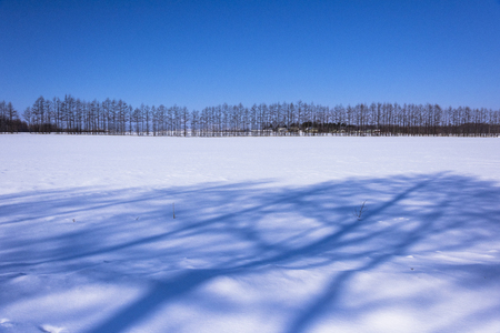 Snow in Hokkaido, Japanの写真素材