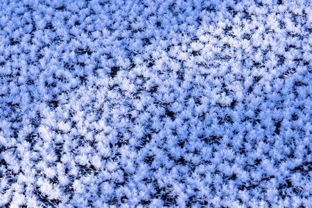 Snow in Hokkaido, Japanの写真素材