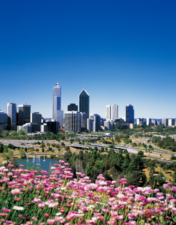 Perth City and Wildflowerのeditorial素材