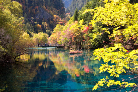Leaves of Jiuzhaigou