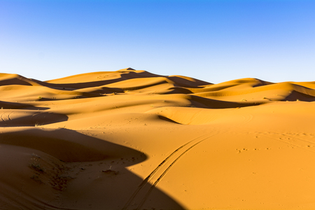 The dry ground, Sahara desertの写真素材