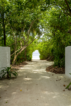 Resort green tunnelの写真素材