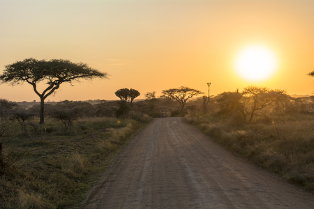 Serengeti National Parkの写真素材