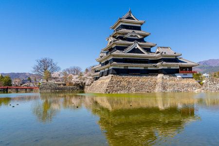 Matsumoto Castle, a national treasure in spring