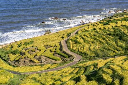 thousand rice terrace  in the Noto Peninsula in autumnの写真素材