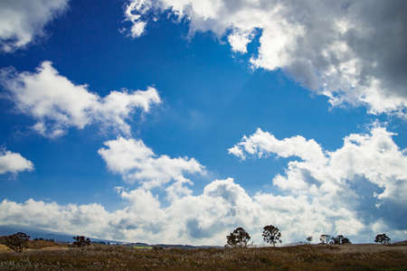 Flowing clouds of Asagiri Plateauの写真素材
