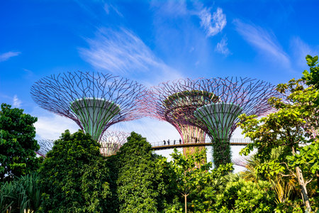 Gardens by the Bay in Singapore
