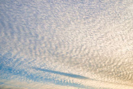 Sardine cloud in the city skyの写真素材