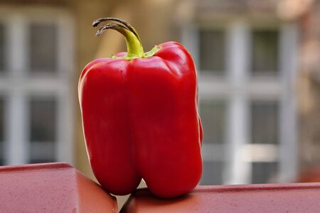 Red Bulgarian pepper with black ponytail in the background of the building, stale food. bacteria multiply in vegetablesの写真素材