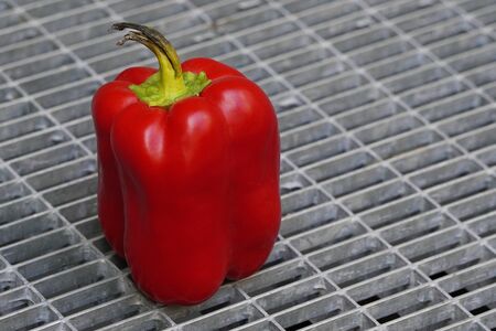 Red Bulgarian pepper with black ponytailagainst the iron lattice, stale food. bacteria multiply in vegetablesの写真素材