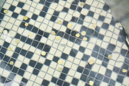 coins lie on bottom of the pool in the water, white black tiles on the bottom. overflow water, throw a coin to come back.の写真素材