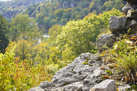 dry withered leaves lie on rocks against the green forest. falling leaves from trees. change of...