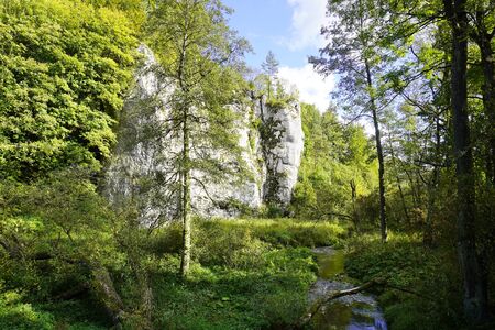 steep white cliffs with trees, hilly forest area in autumn. yellow leaves on trees on Sunny warm day.の写真素材