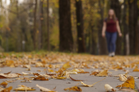 silhouette of girl in the Park in autumn yellow fallen leaves. change of season, a walk through the...