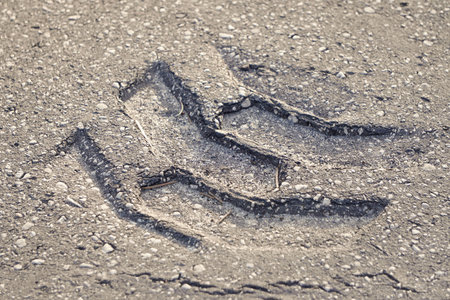 footprints on asphalt from cars or wheels. soft asphalt after the heat flow, copyspace