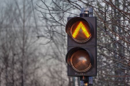 old traffic light for a tram with a permissive orange light for travel on a background of bare black tree branches and fog.の写真素材