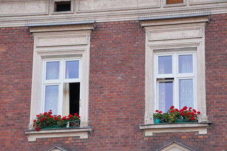 two Windows in old house, decorated with flowers windowsill. renovated facade of the slopes. the...