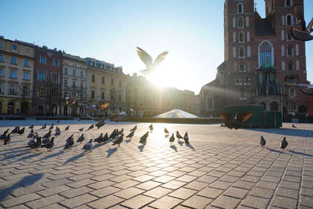 Krakow, Poland 20.04.20: Wingspan of dove in sun at dawn at tower on main market square, st. Marys basilica. morning square without people, only pigeons against blue spring sky. Coronavirus pandemicのeditorial素材